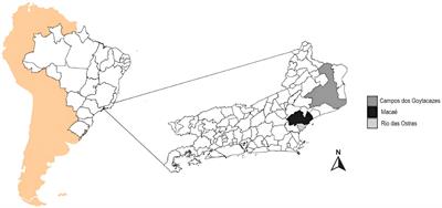 Genomic surveillance and serological profile of SARS-CoV-2 variants circulating in Macaé and nearby cities, southeastern Brazil